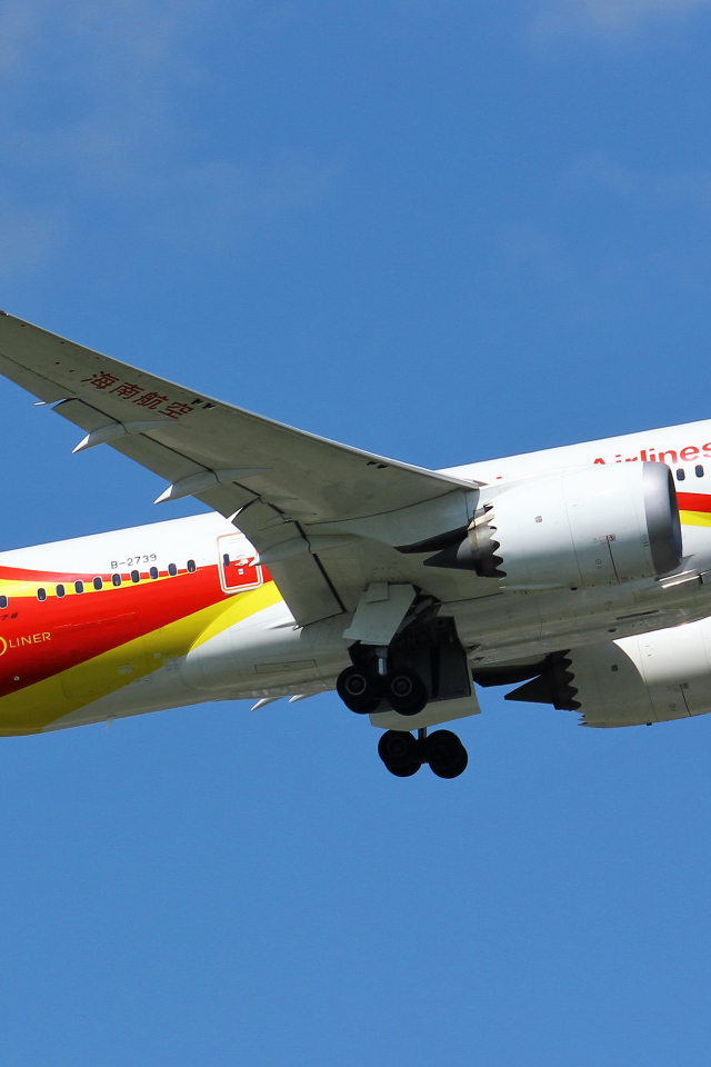 Пассажирский самолет Boeing 787-8 взлетает