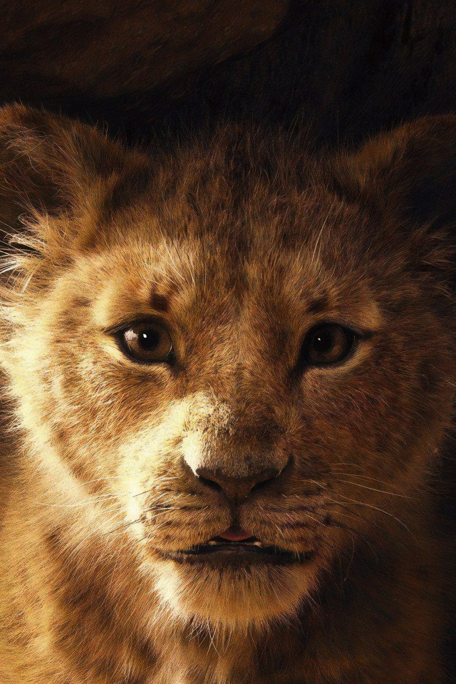 Львенок Симба персонаж нового мультфильма Король Лев, 2019