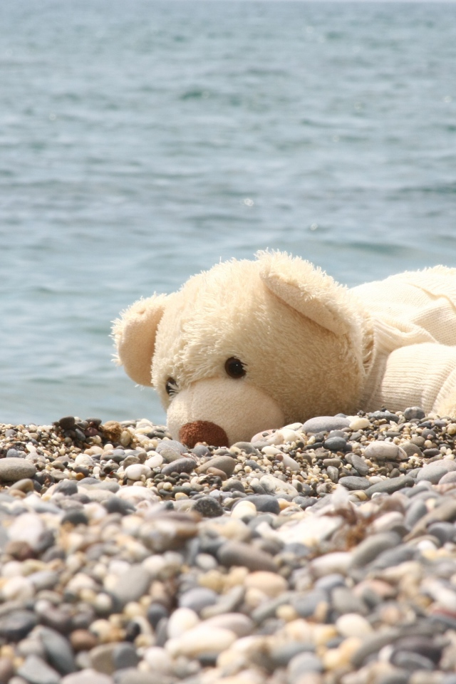 Белый плюшевый медведь лежит на гальке на берегу моря