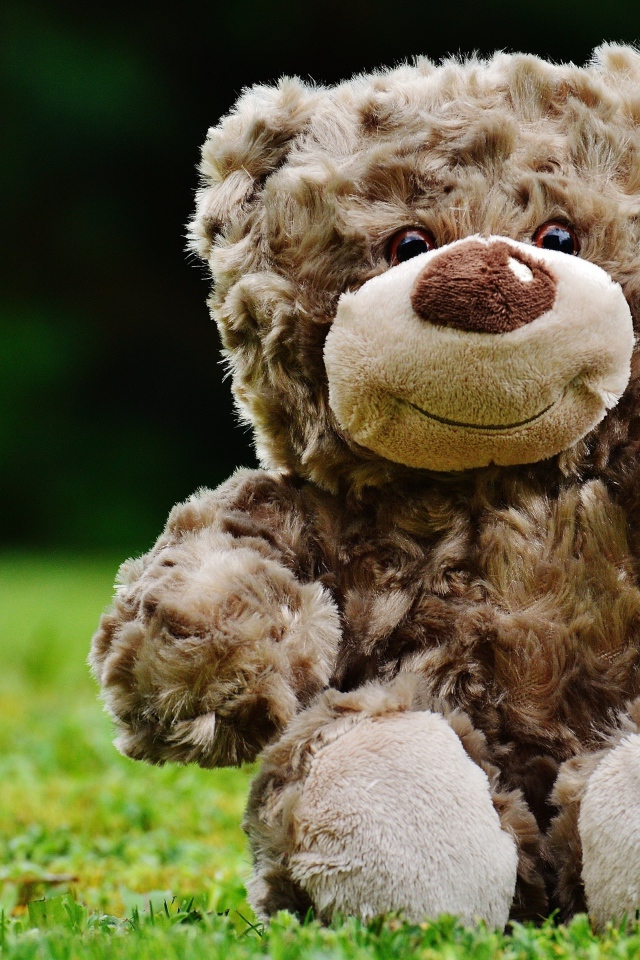 Милый плюшевый мишка сидит на зеленой траве