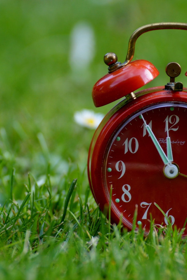 Красный будильник стоит на зеленой траве