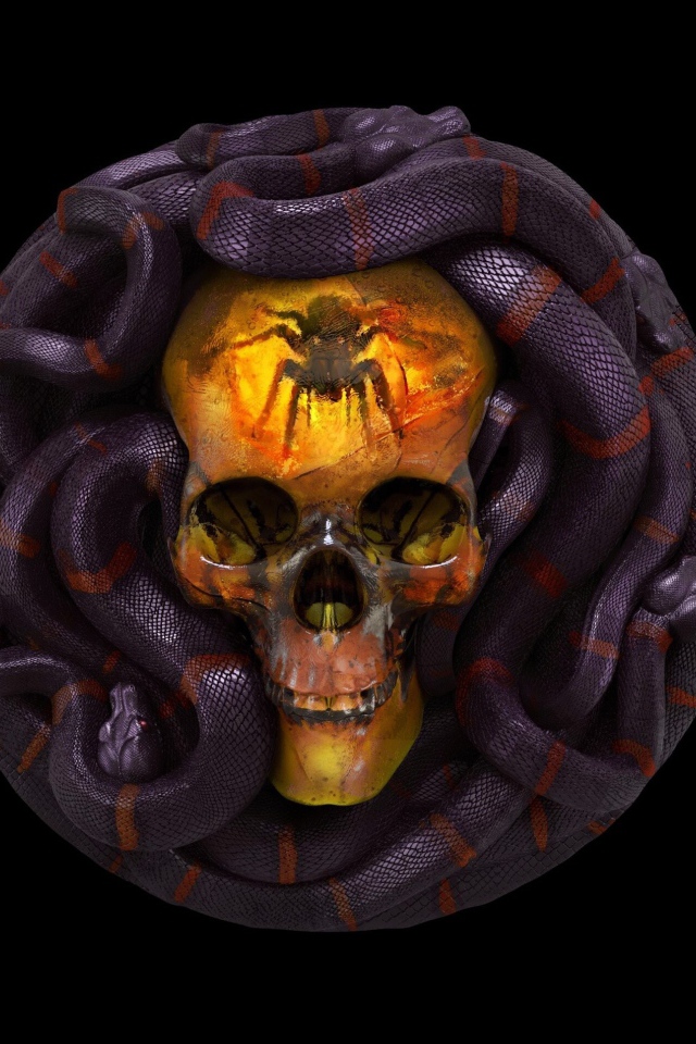 Череп со змеями на черном фоне