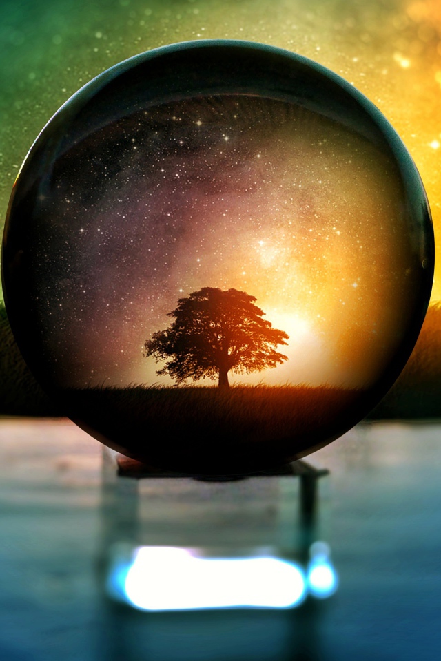 Дерево  отражается в стеклянном шаре