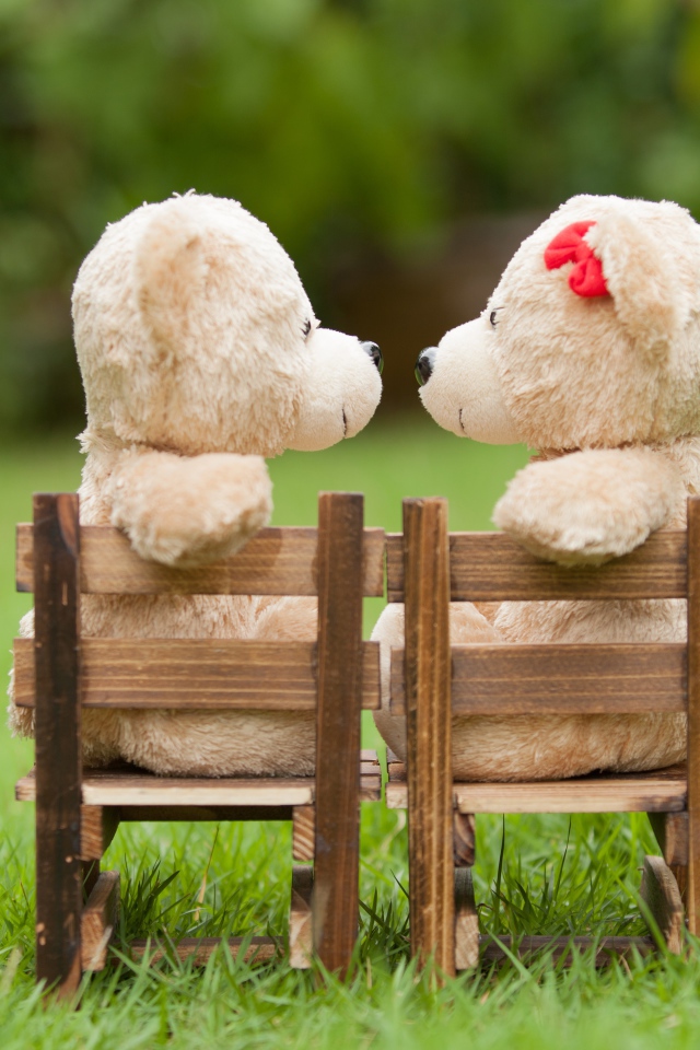 Два плюшевых мишки на деревянных креслах на зеленой траве