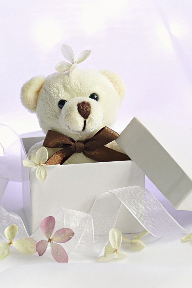 Белый плюшевый медведь в подарочной коробке