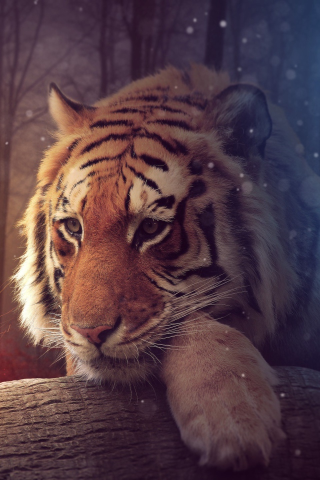 Большой тирг с волшебной огненной бабочкой, фэнтези