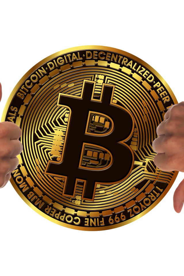 Two hands are evaluating a bitcoin coin on a white background.