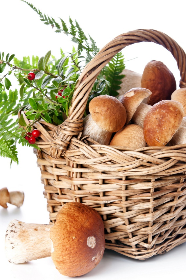 Big basket of mushrooms with berries on a white background