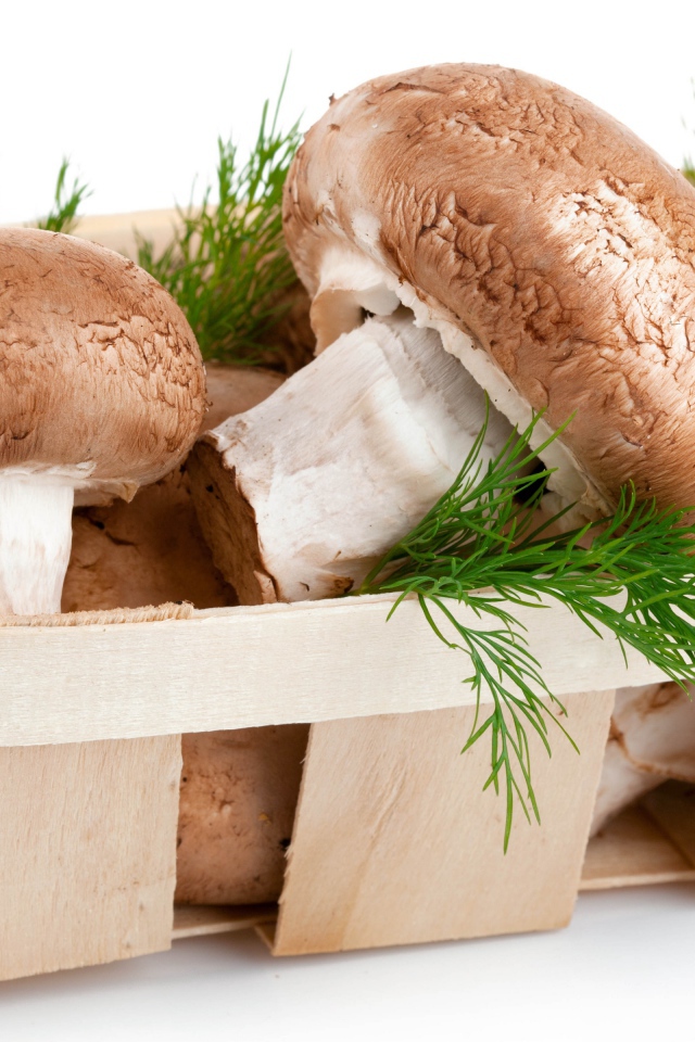 Грибы шампиньоны в деревянной корзине с укропом на белом фоне