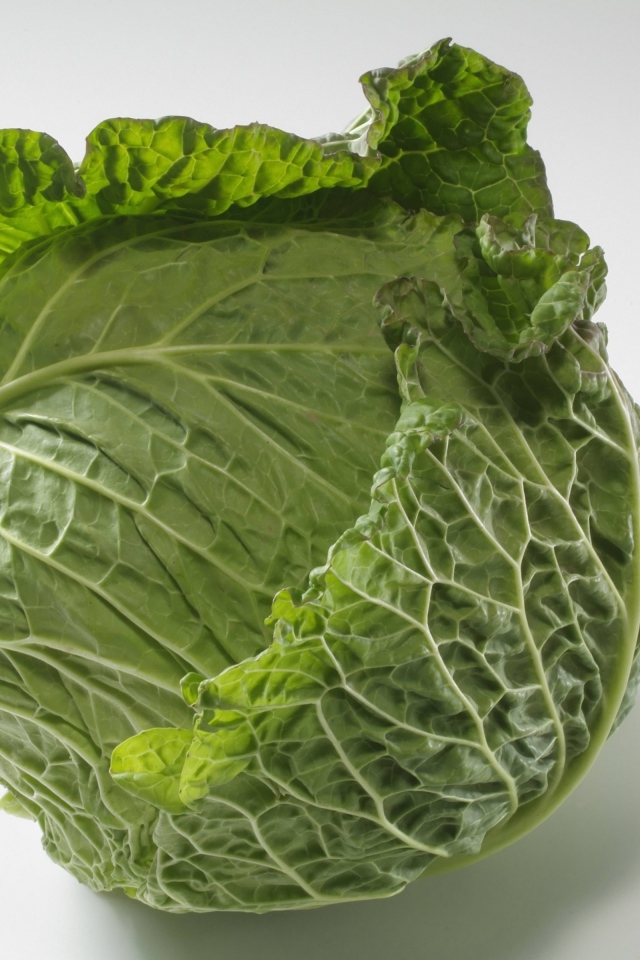 Зеленый кочан капусты на сером фоне 