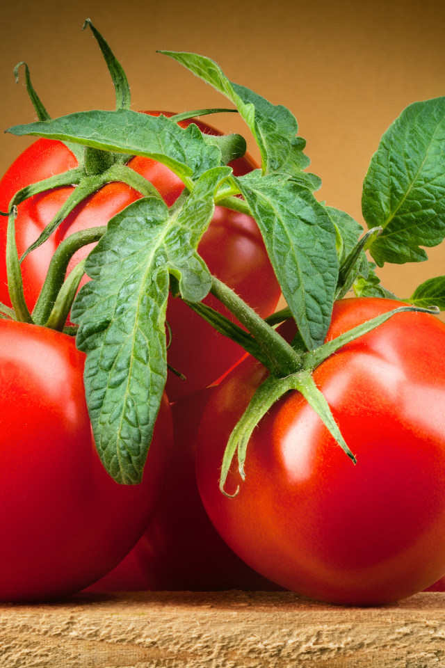 Крупные спелые красные томаты с зелеными листьями 