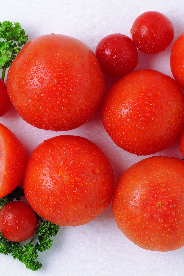 Спелые красные помидоры с зеленью петрушки в каплях воды