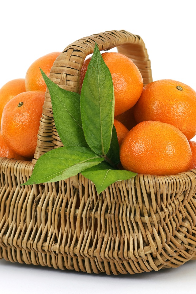 Корзина спелых, сочных оранжевых мандарин на белом фоне