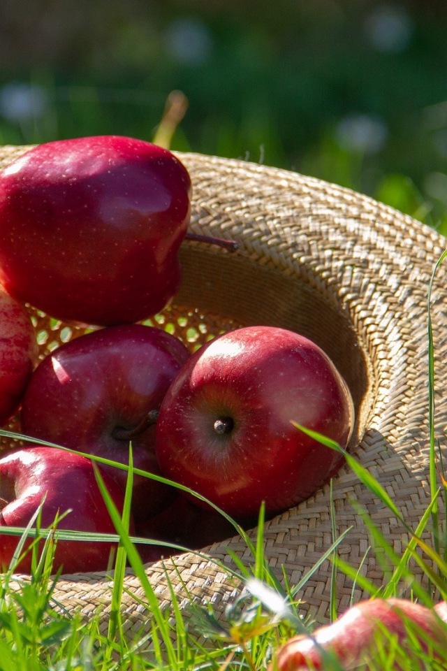 Красивые красные яблоки в соломенной шляпе на зеленой траве