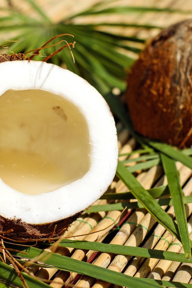 Разбитый кокос лежит на зеленых пальмовых листьях