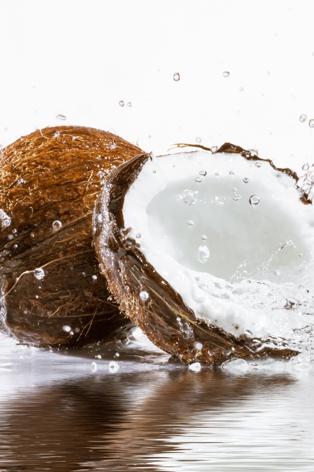 Кокосы в воде на белом фоне