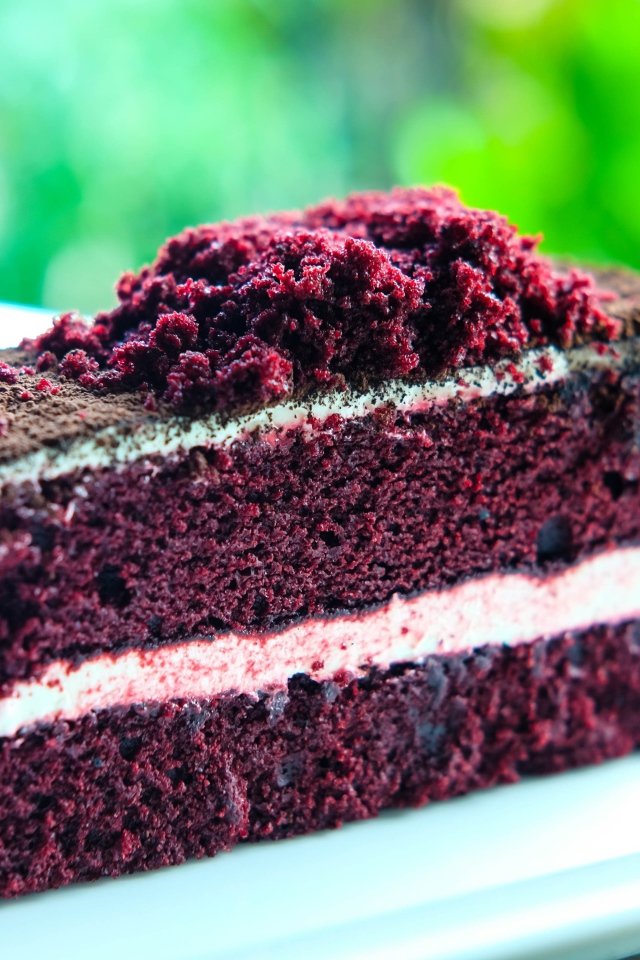 Аппетитный кусок торта с кремом