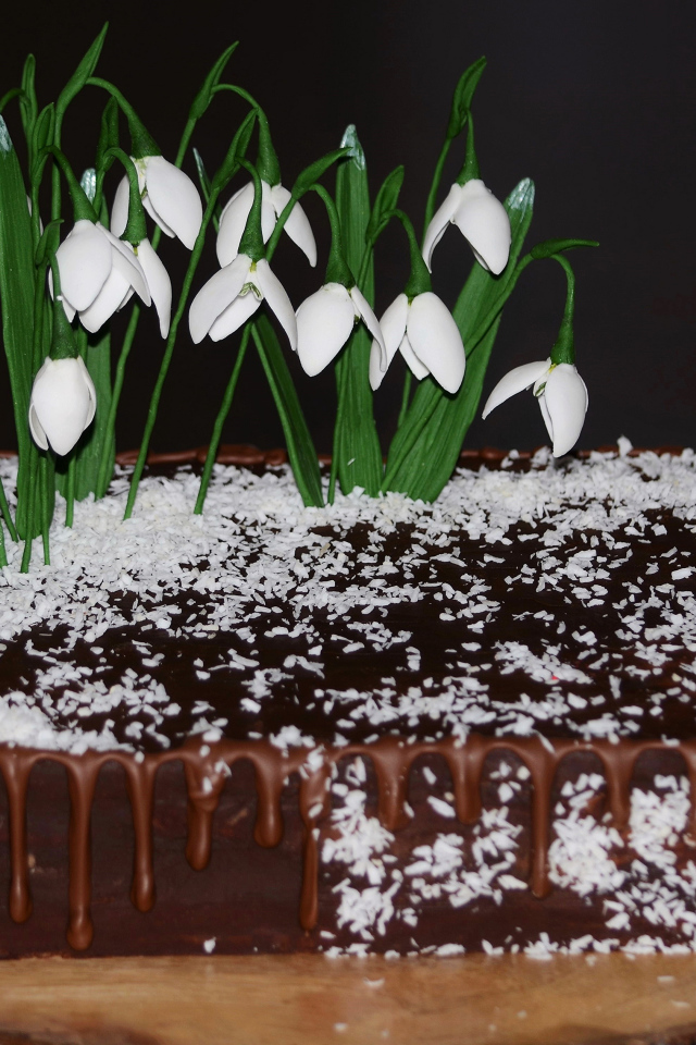 Шоколадный торт с кокосовой стружкой и цветами подснежника