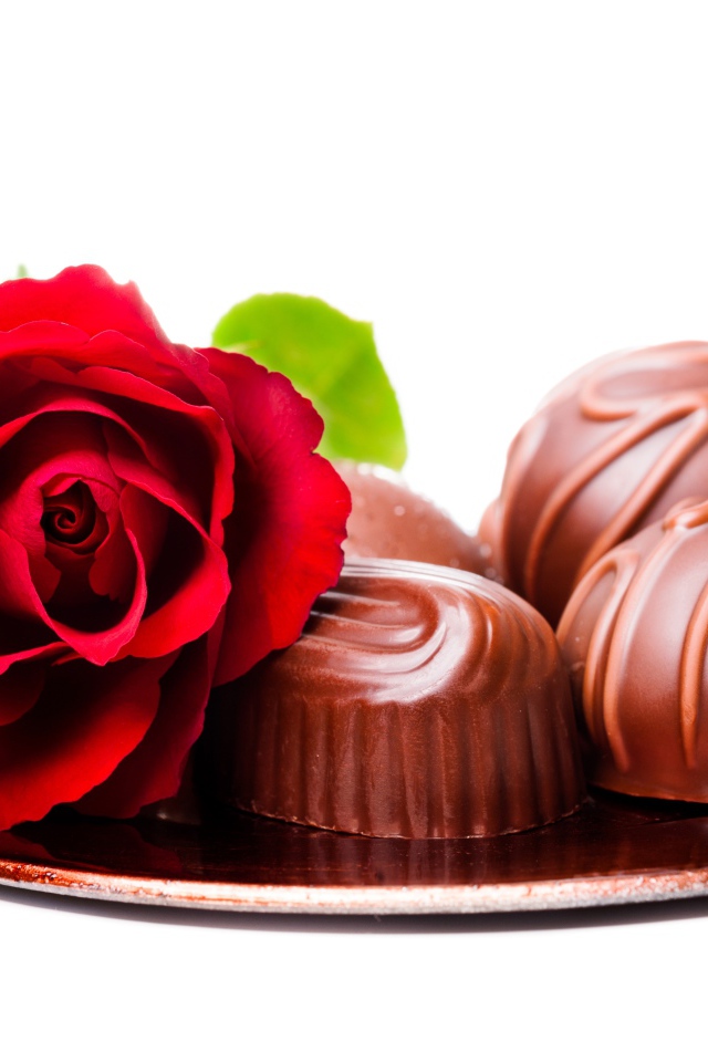Шоколадные конфеты на тарелке с красной розой на белом фоне