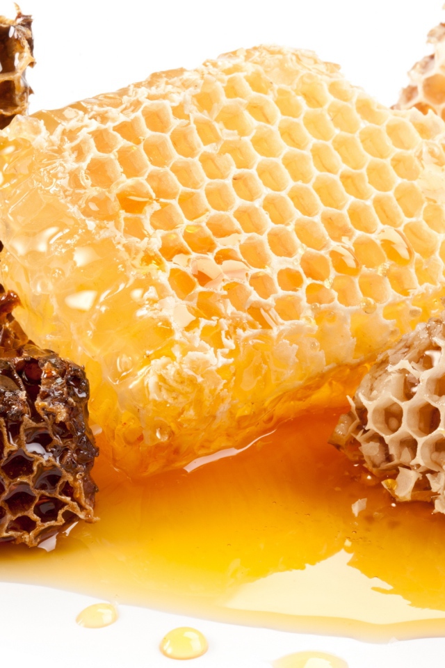 Медовые соты с медом на белом фоне