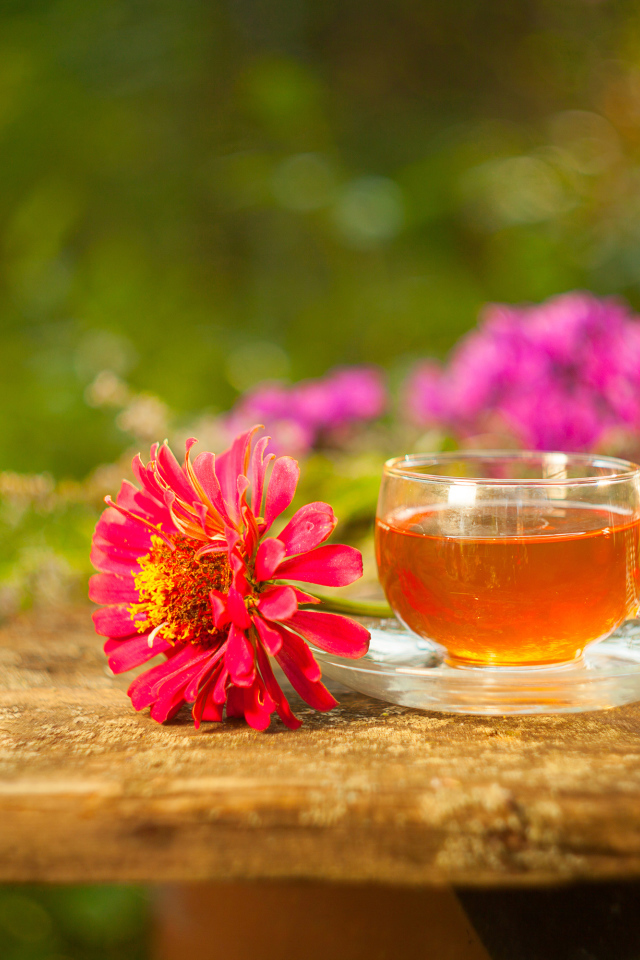 Стеклянная чашка чая на столе с цветком циннии