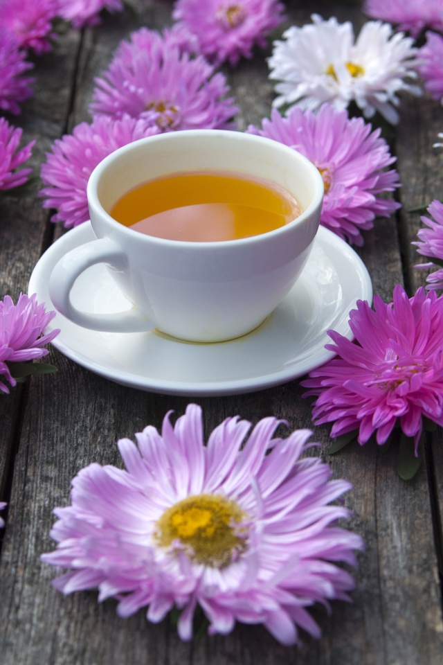 Белая чашка чая на столе с астрами