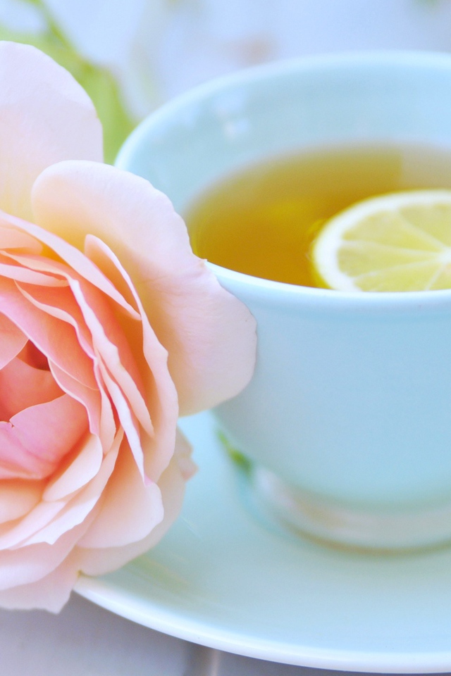 Белая чашка чая с лимоном и розовой розой