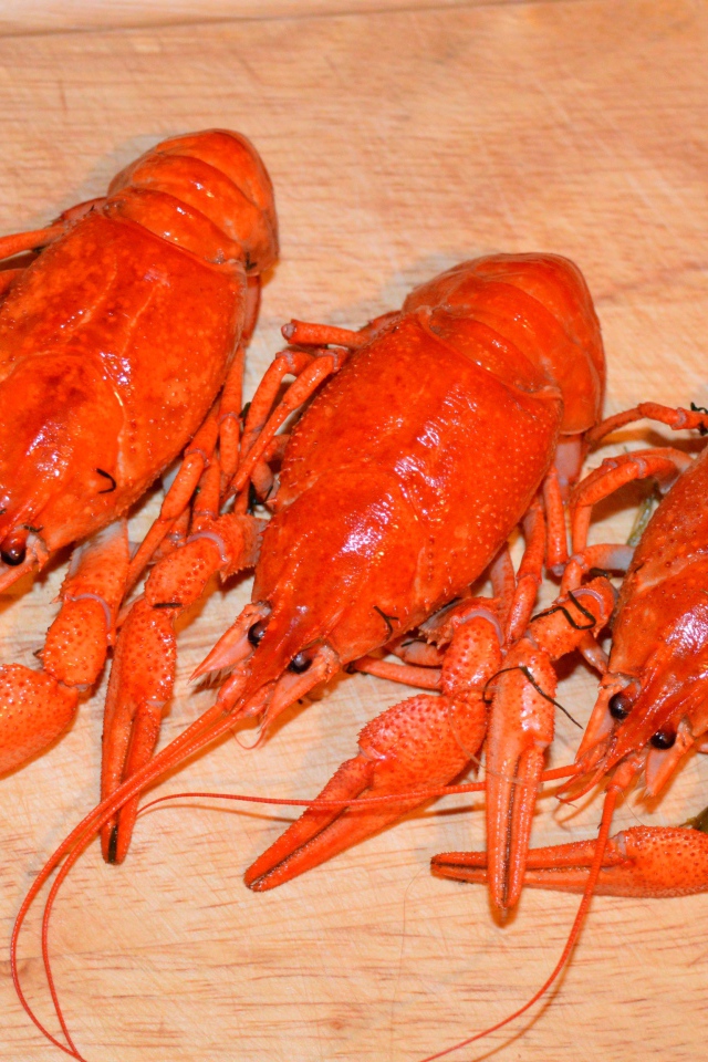 Три красных вареных рака лежат на деревянном столе