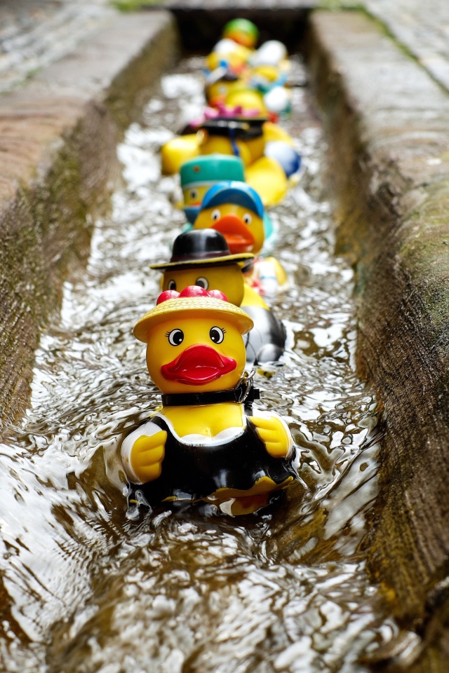 Игрушки утята в водосточной канаве