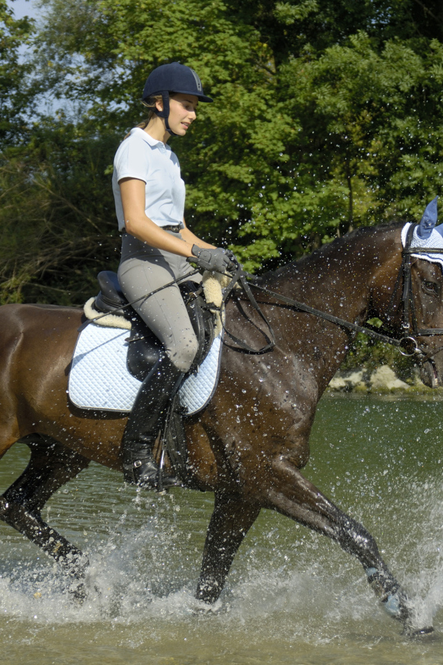 Молодая девушка на лошади скачет по воде