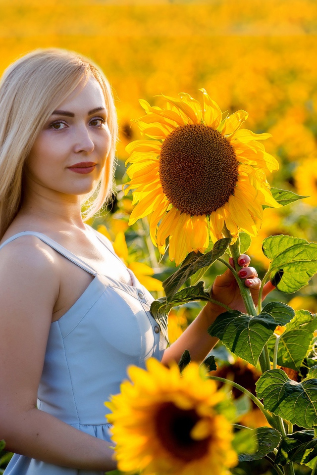 Красивая блондинка в цветущих подсолнухах 