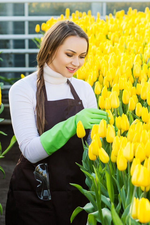 Красивая молодая девушка ухаживает за желтыми тюльпанами