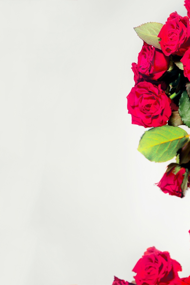 Красивая молодая девушка с венком из красных роз на голове