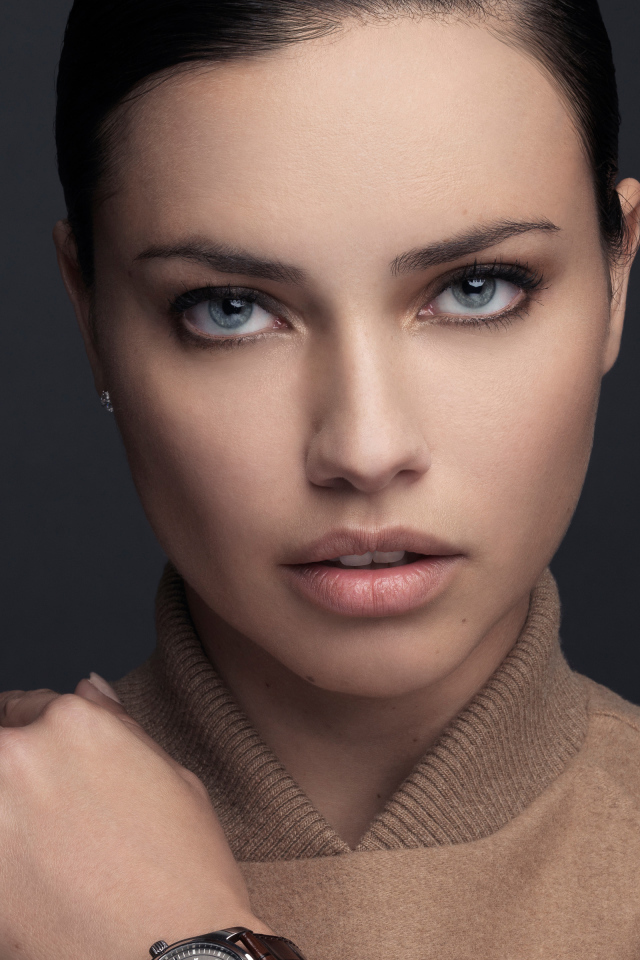 Бразильская супермодель Адриана Лима фото на сером фоне