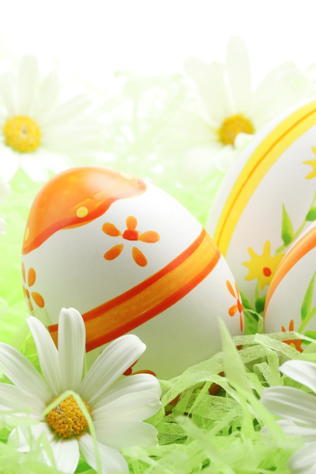 Раскрашенные пасхальные яйца и ромашки на Пасху
