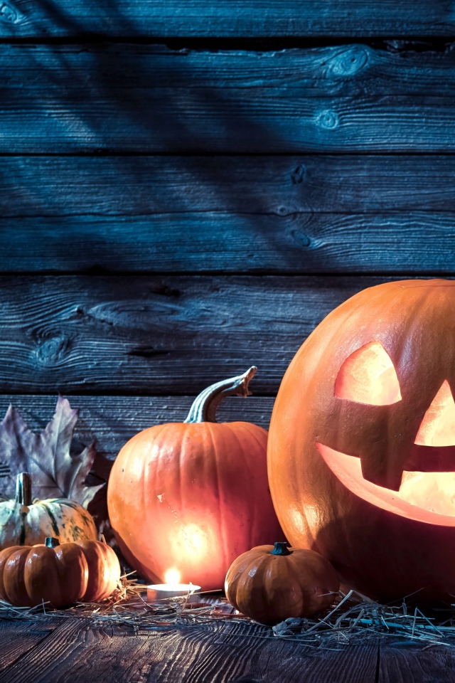 Тыквы на праздник Хэллоуин, 31 октября