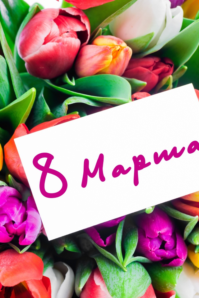 Красивый букет разноцветных тюльпанов на Международный Женский день 8 марта