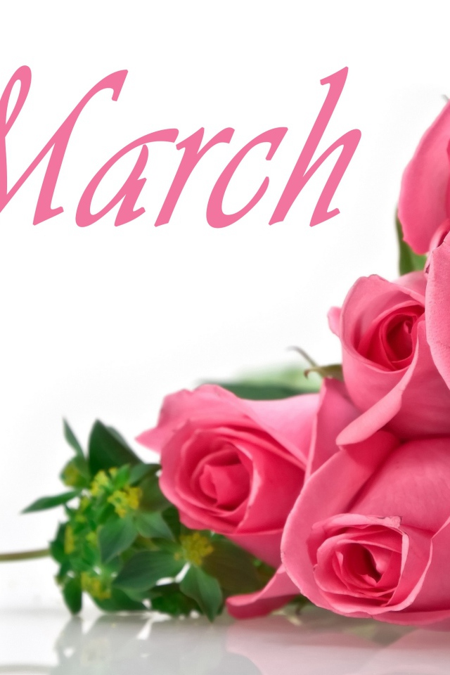 Букет розовых роз на белом фоне на 8 марта