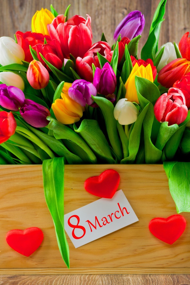 Ящик разноцветных тюльпанов на Международный женский день 8 марта
