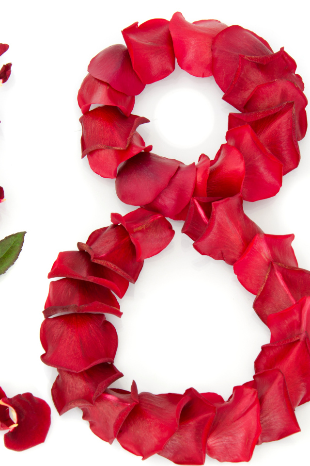 Цифра 8 из лепестков розы на белом фоне  на Международный женский день 8 марта