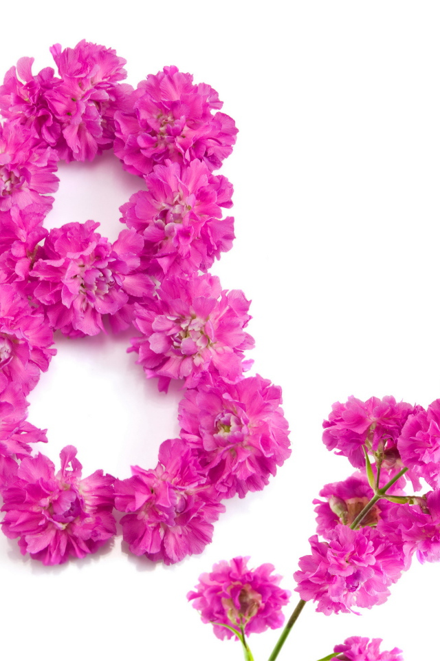 Восьмерка из розовых цветов гвоздики на Международный женский день 8 марта