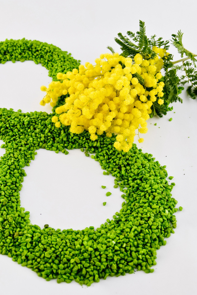 8 марта и ветка мимозы на сером фоне