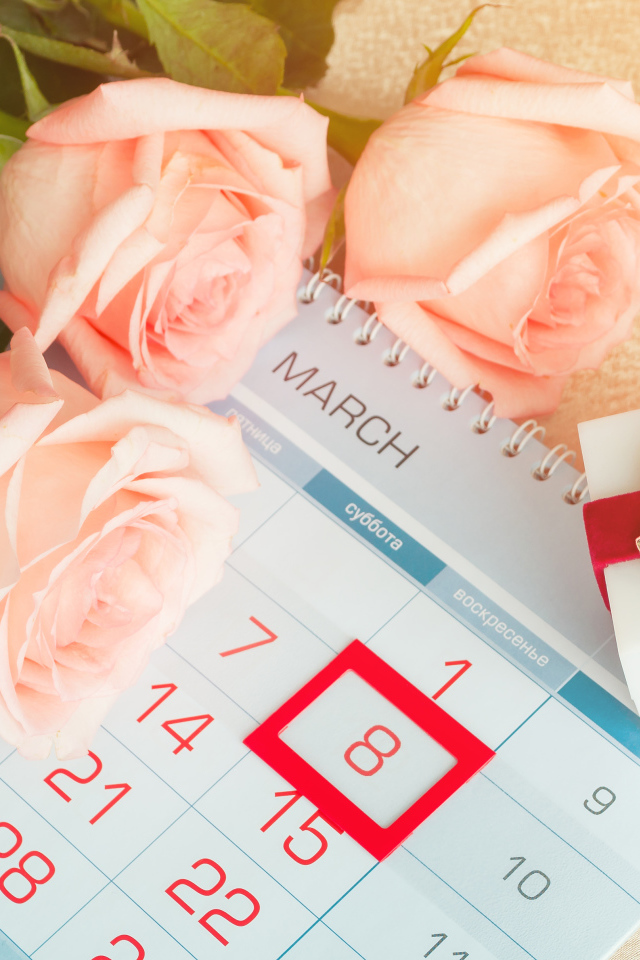 Три кремовых розы и подарок на Международный женский день 8 марта