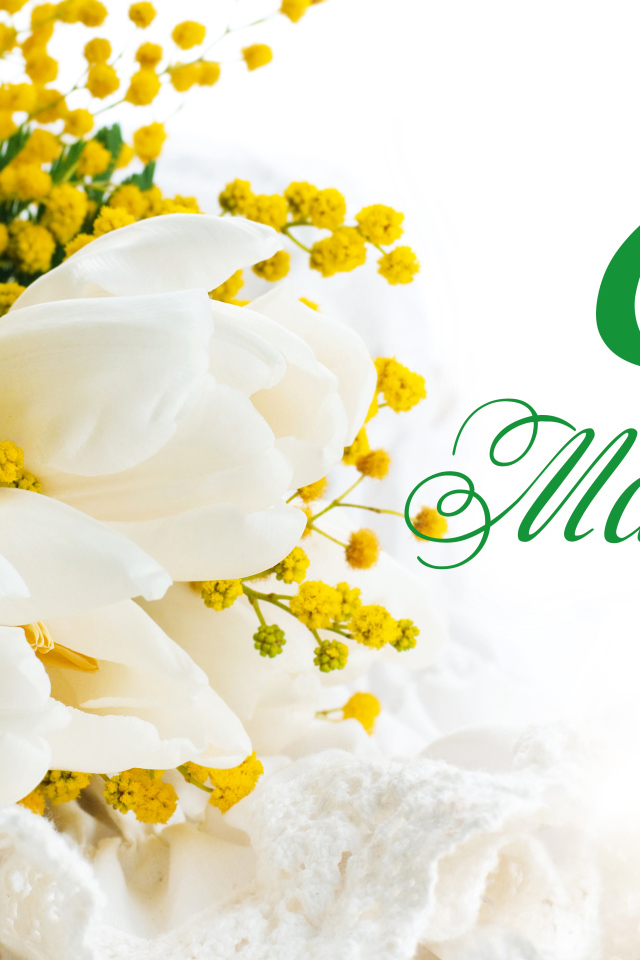 Белые тюльпаны и желтые цветы мимозы на белом фоне на Международный женский день 8 марта