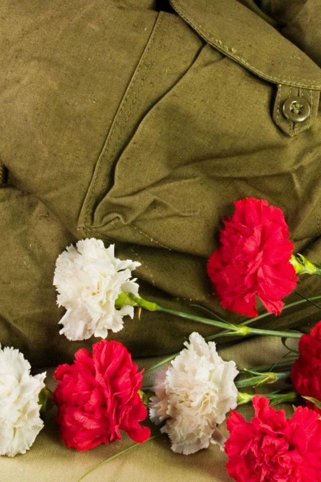 Рюкзак, букет гвоздик и орден на 9 мая