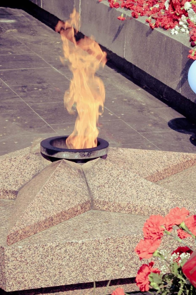 Красные гвоздики у вечного огня на День Победы 9 мая