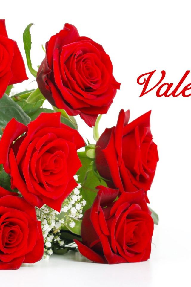 Красивый букет красных роз на День Святого Валентина