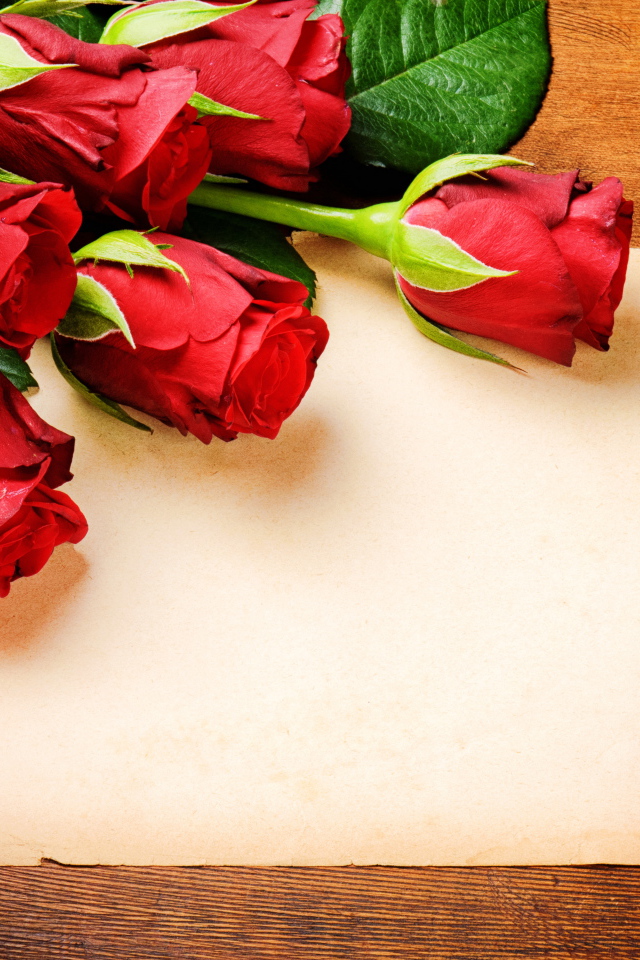 Лист бумаги, розы и подарок, шаблон для поздравительной открытки на День Святого Валентина