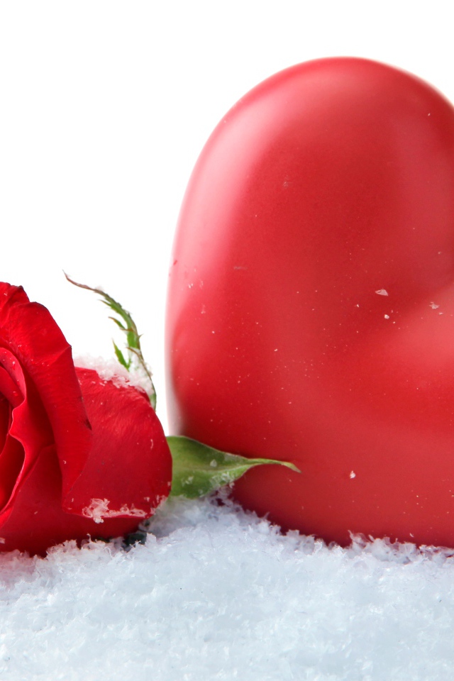 Большое красное сердце с красной розой на снегу