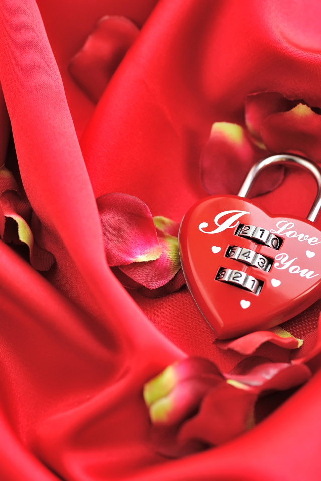 Кодовый замок в форме сердца на красном фоне с лепестками розы